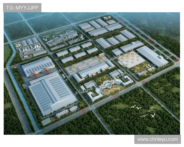 乐投集团：引领体育娱乐产业创新发展的领军企业