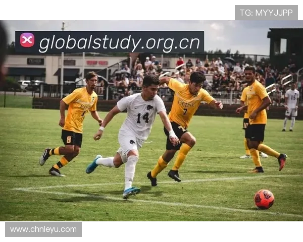 乐鱼体育集团网址综合介绍,涵盖乐鱼体育集团所有相关官方网站及联系信息 乐鱼体育集团网址综合介绍,涵盖乐鱼体育集团所有相关官方网站及联系信息