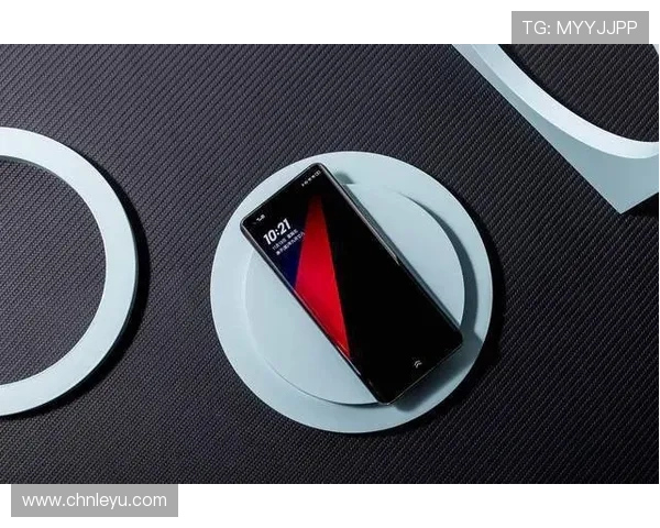 乐鱼正规直营平台提供专业技术支持保障游戏流畅运行体验