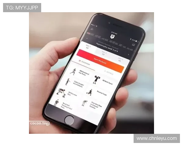 乐鱼体育体育用户体验提升方案，优化界面设计与服务支持打造极致用户体验