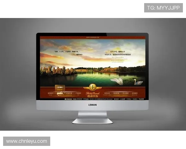 乐鱼全站最新登录页面优化，提升用户体验实现无缝游戏体验